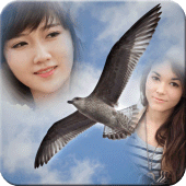 Birds Mulit Photo Frame Apk