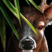 Life Of Deer Apk