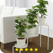 Flower Shelf Apk