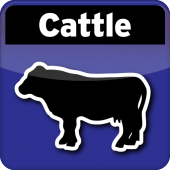 Cattle Breeding Calculator Apk