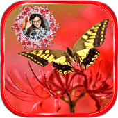 Butterfly Photo Frames Apk