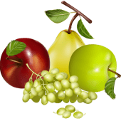 Fruit Recipes(फलहारी) in HIndi Apk