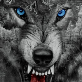 Roaring Wild Wolf Theme Apk