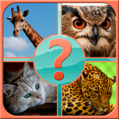 Guess the Animal Apk