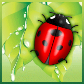 Save The Beetle Apk