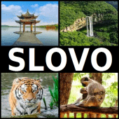 4 Obrázky 1 Slovo 2020 Apk