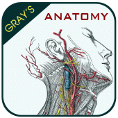 Gray's Anatomy - Anatomy Atlas Apk