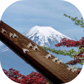 Koto 13-stringed Apk