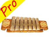 Saron Pro Apk