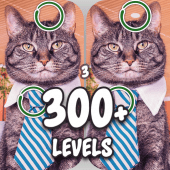 Find the difference 300 level Spot the differences Apk