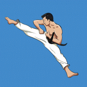 Mastering Taekwondo at Home Apk