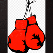 Boxing Skills Training Guide Apk