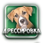 Дрессировка Собак Воспитание Базовые команды Apk