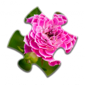 Flower Jigsaw Puzzles Apk