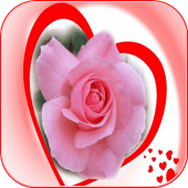 Beautiful Romantic Flowers And Roses Apk