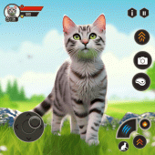 Kitten Game Pet Cat Simulator Apk