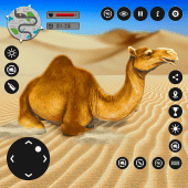 Camel Family Life Simulator Apk