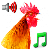 Funny Alarm Clock Ringtones Apk