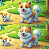 Find Differences Expert Apk