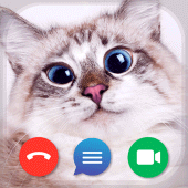 Cat Fake Video Calls and Chat Apk