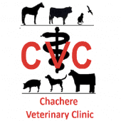 Chachere Vet Apk