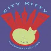 City Kitty Vet Apk