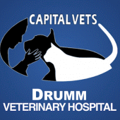 Drumm Vet Hospital Apk