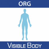 Anatomy & Physiology 16 (Org.) Apk