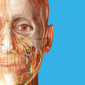 Human Anatomy Atlas 2025 Apk