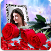 Rose Photo Frames HD Apk