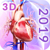 Circulatory System Anatomy Apk