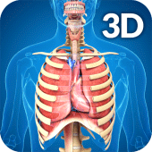 Respiratory System Anatomy Apk