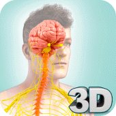 Nervous System Anatomy Pro. Apk