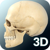 Skull Anatomy Pro. Apk