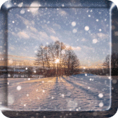 Winter Snow Live Wallpaper  HD Apk