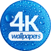 4K Wallpapers Apk