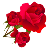 WAStickerApps Rose Day Apk