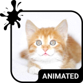 Kitty Cat Keyboard & Wallpaper Apk