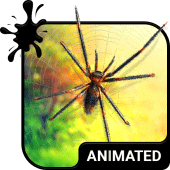 Spider Keyboard & Wallpaper Apk