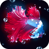 Tropical Fish Live Wallpaper Apk