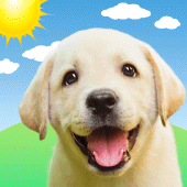 Weather Puppy - App & Widget Apk