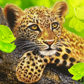 The Leopard Apk