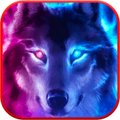 Wolf Wallpaper Apk