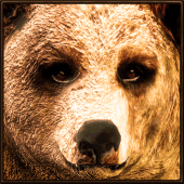 Ultimate Bear Simulator Apk