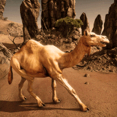 Ultimate Camel Simulator Apk