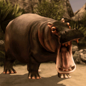 Ultimate Hippo Simulator Apk