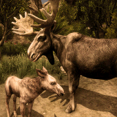 Ultimate Moose Simulator Apk