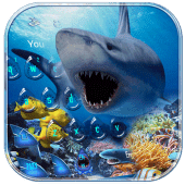 Crazy Shark Water Drop Theme Apk