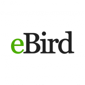 eBird by Cornell Lab Apk