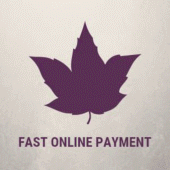 Fast Online Payment Apk